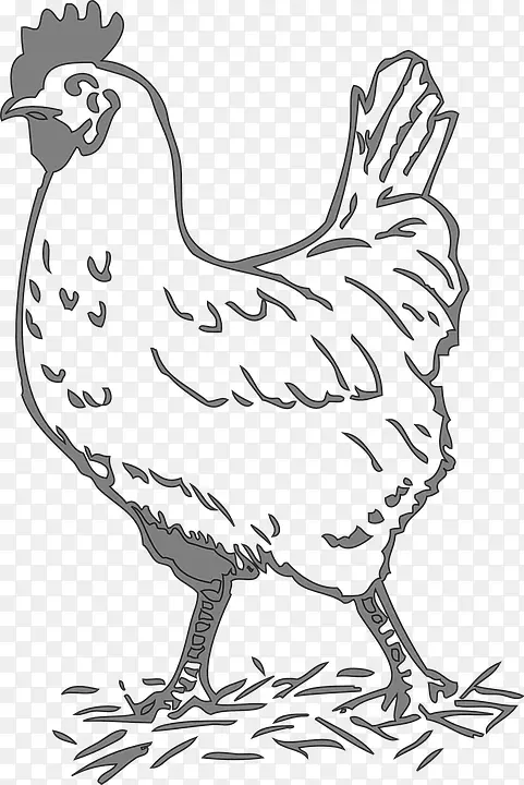 莱霍恩鸡，鸡夹艺术家禽，小红母鸡-波东