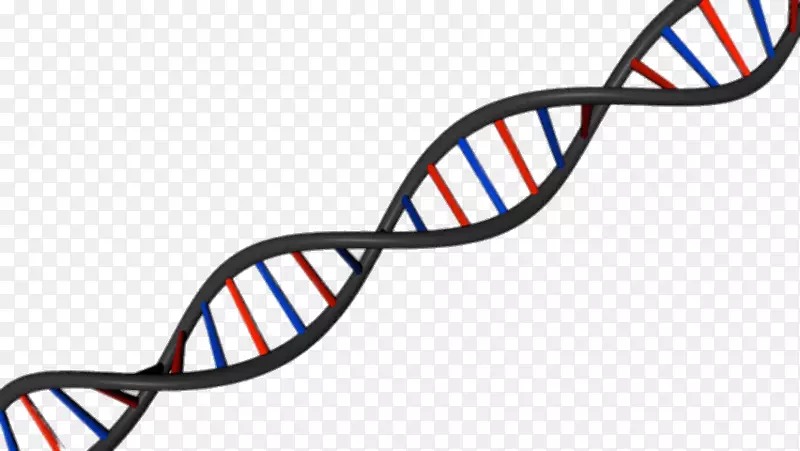 DNA科学核酸双螺旋体照相-dna-dna Vetor