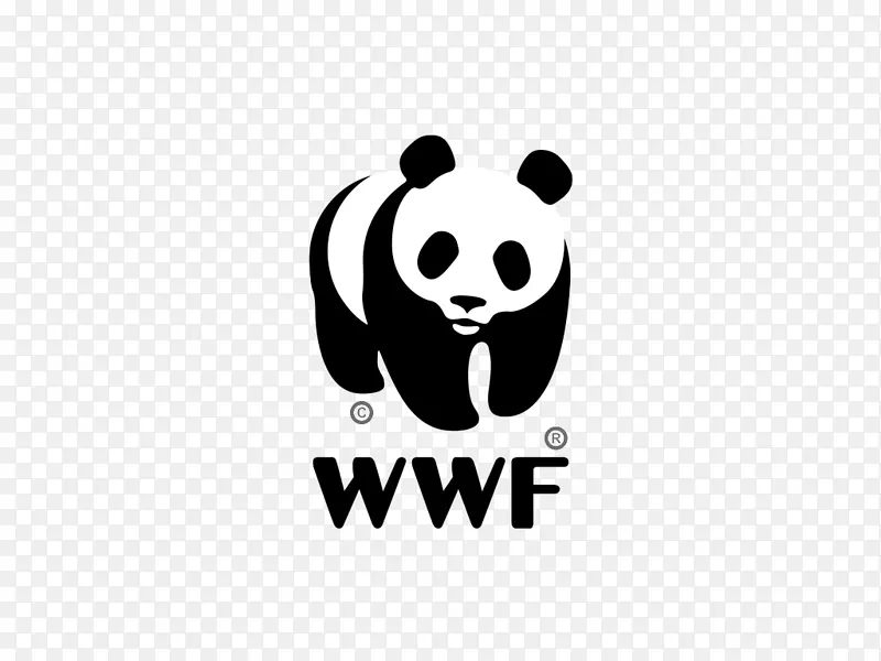 大熊猫世界自然基金-澳洲濒危物种-濒危物种5例
