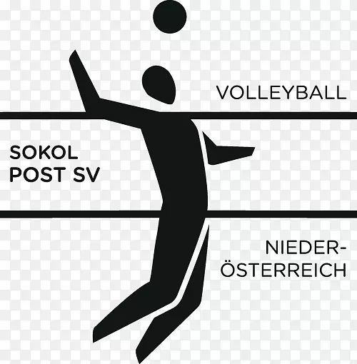 SVS后Schwechat排球标志字体降低奥地利-排球