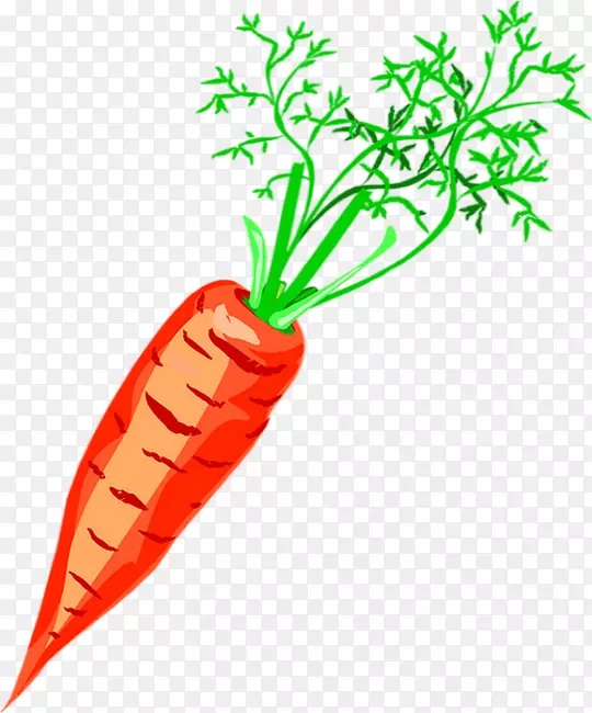 胡萝卜夹艺术素描汤胡萝卜