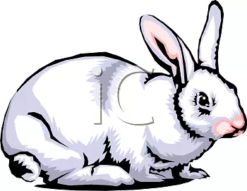 白兔剪贴画-兔子剪贴画
