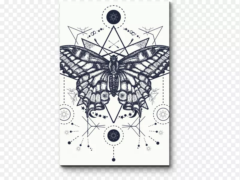 蝴蝶纹身画图设计.蝴蝶