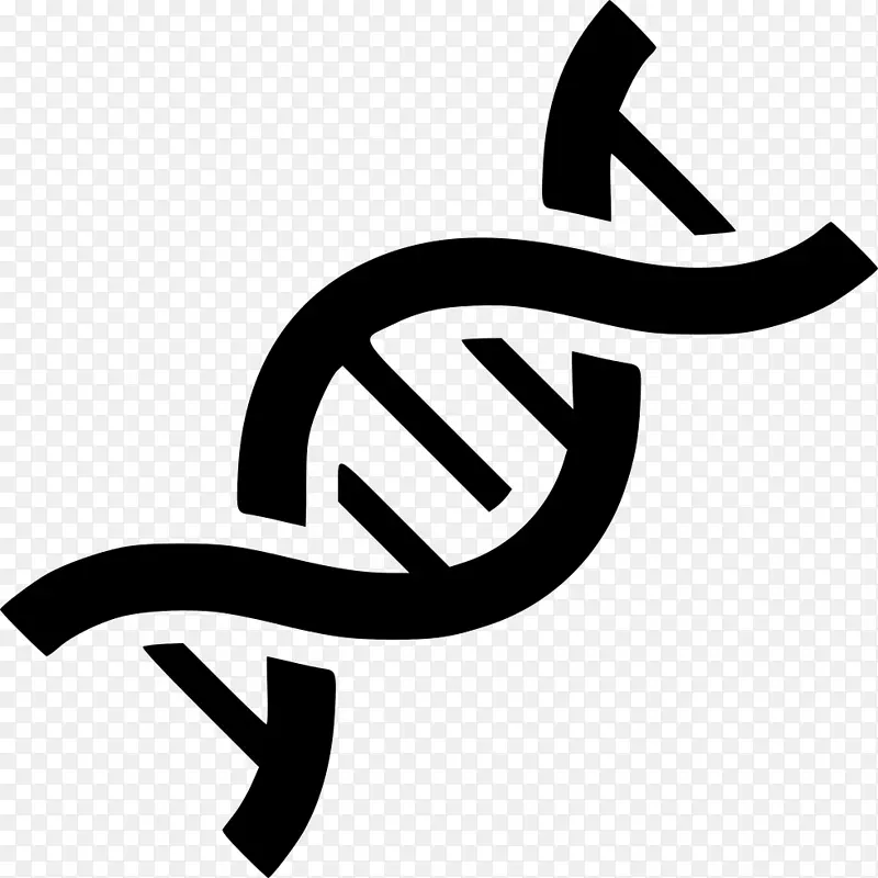 核酸双螺旋dnapng网络图基因组.遗传图标
