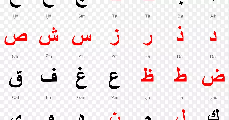 阿拉伯字母阿拉伯语口语学习