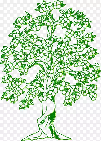 着色书树绘制曼陀罗-绿树剪贴画