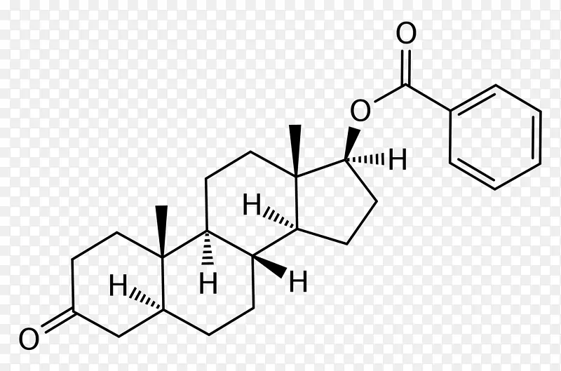 十一酸睾酮合成类固醇睾酮烯酸雄激素胆固醇