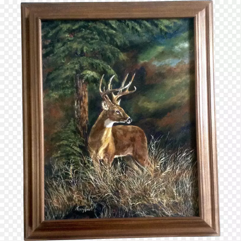 白尾鹿、麋鹿油画-鹿