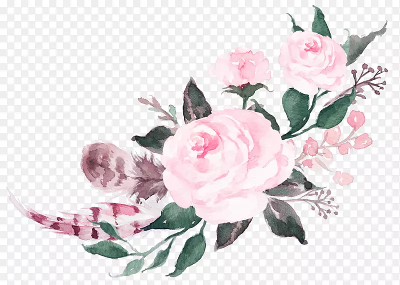 水彩画粉红色花朵玫瑰花