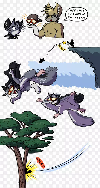 飞松鼠脊椎动物猫蝙蝠松鼠