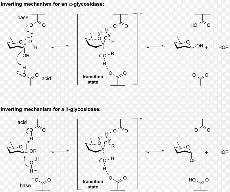 均相催化酸催化酶文献