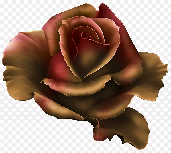剪贴画玫瑰图像解耦页桌面壁纸-玫瑰
