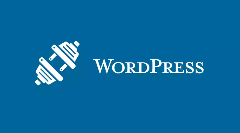 WordPress插件内容管理系统博客-WordPress