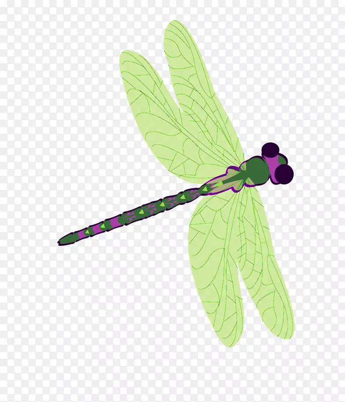蜻蜓-谢谢绿色
