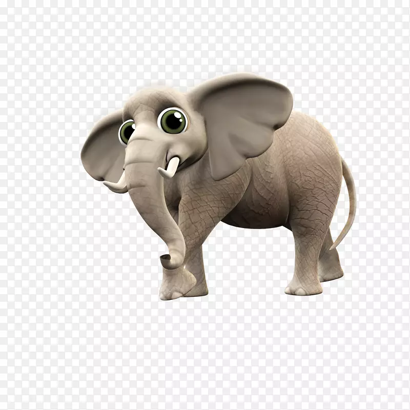 印度象非洲象像象牙象