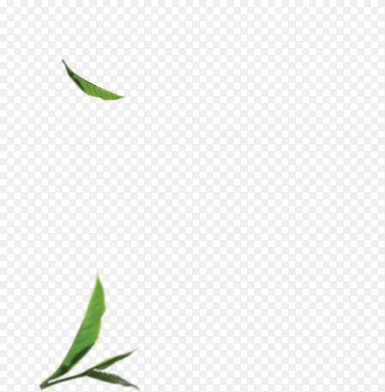 嫩枝绿色图形植物茎叶抹茶叶