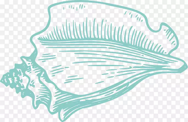 海螺贝壳画夹艺术海螺壳图