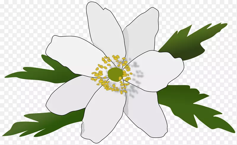 Raseborg银莲花电脑图标