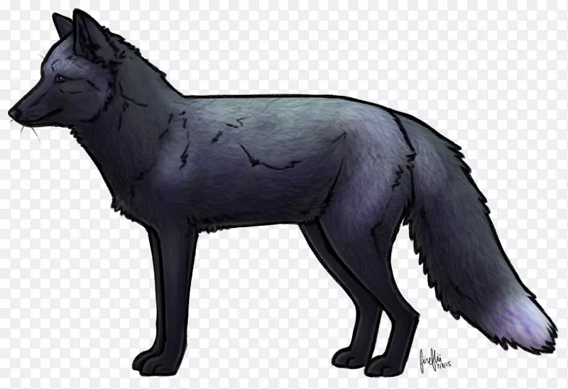 银狐毛闪电战犬
