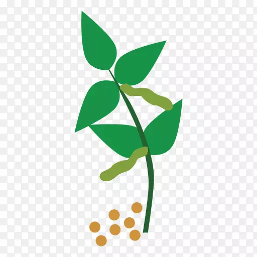 剪贴画植物茎普通豆科植物png图片.Cuerda