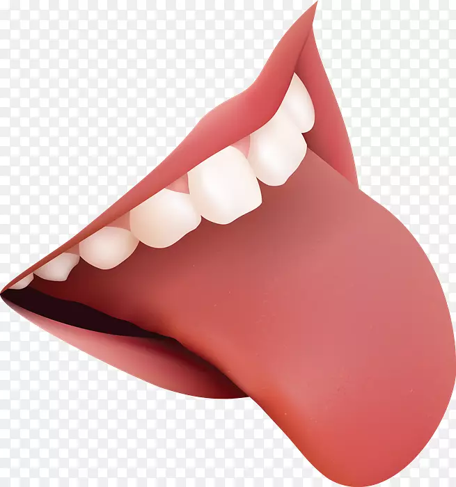 舌夹艺术png图片解剖味蕾舌