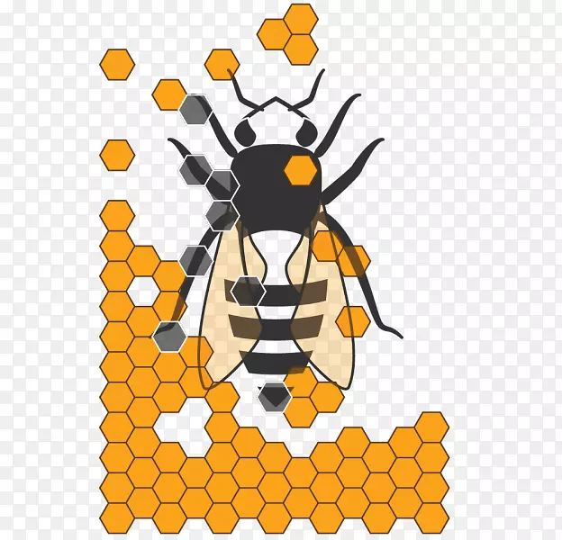 蜜蜂剪贴画卡通害虫-棉花作物