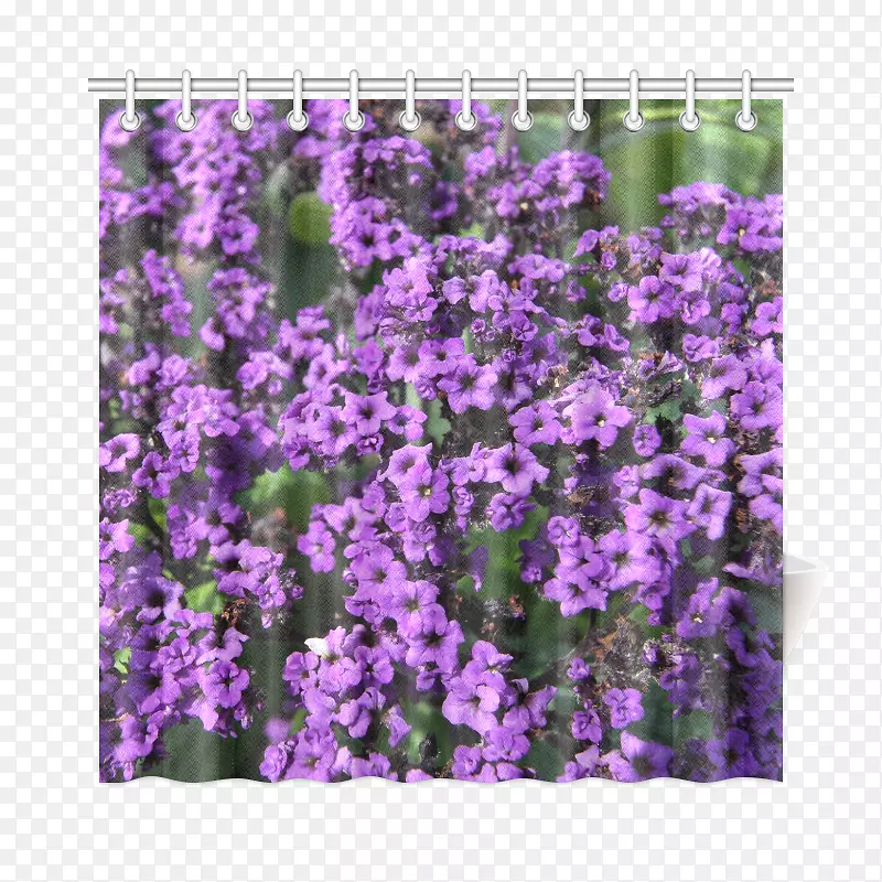 英国薰衣草紫色帆布印花ВербенаМ-билковааптека-紫花设计