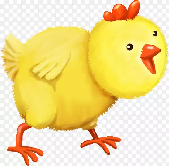 鸡夹艺术鸟嘴鸡作为食用动物-可爱的卡通鸡