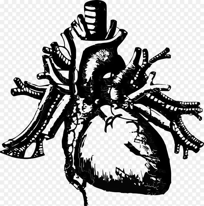 人体心脏健康亨克帕形象-心脏