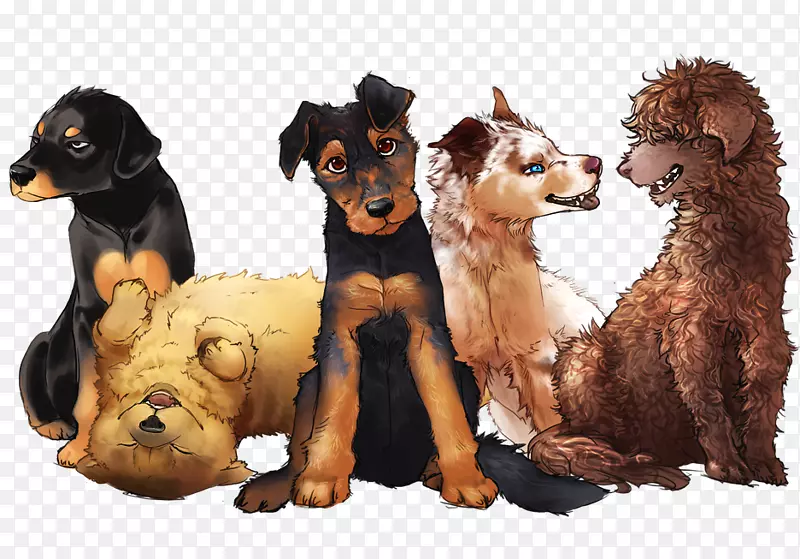 犬种小狗剃须刀易损品种群(狗)-狗