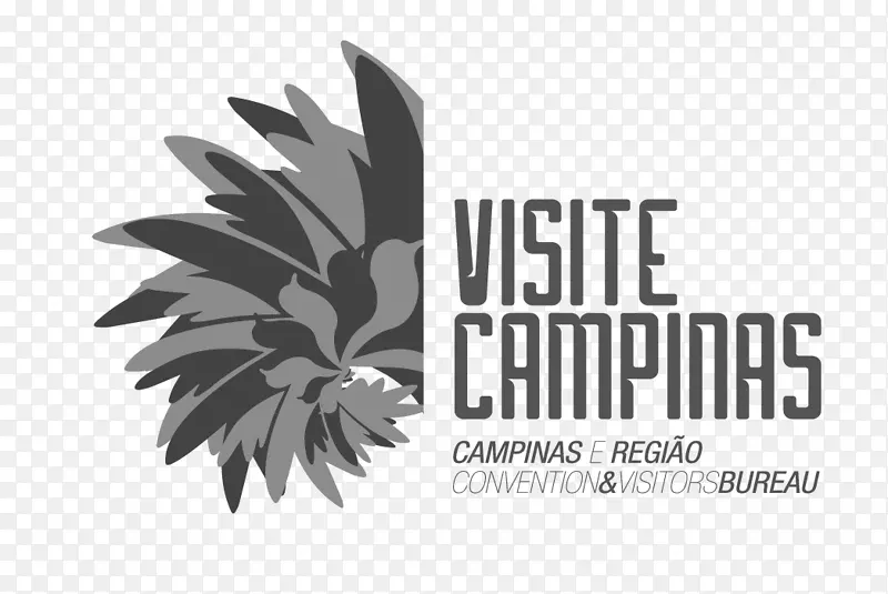 商标Radisson红色Campinas字体品牌桌面壁纸-宣传