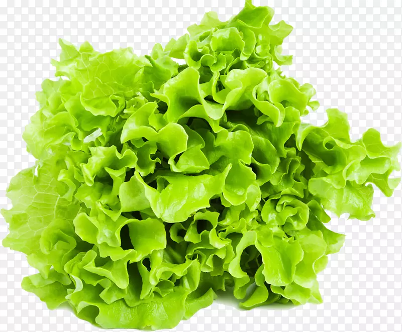 ğk fte蔬菜意大利面食水果健康-蔬菜