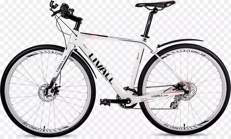 坎农代尔自行车公司赛车自行车库塔-碳纤维背景