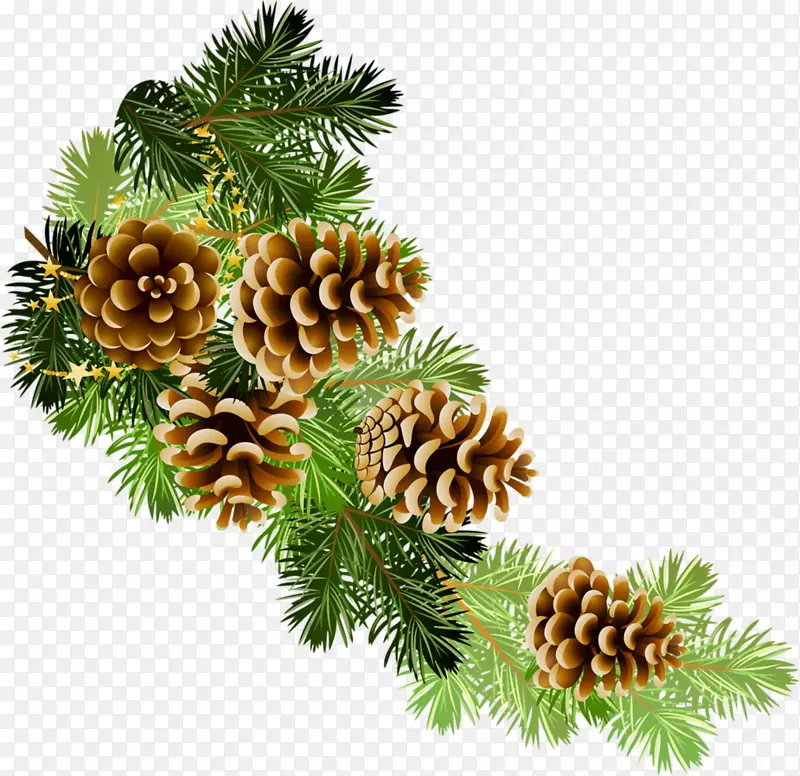 剪贴画，圣诞图形，针叶树，锥形松树，露头树
