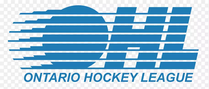 2017年-18 OHL赛季魁北克省大初级曲棍球联赛2016-17 OHL赛季温莎斯皮特火尼亚加拉IceDogs-曲棍球标志