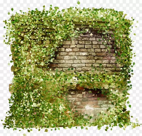 png图片-绿色图像灌木设计-Muro