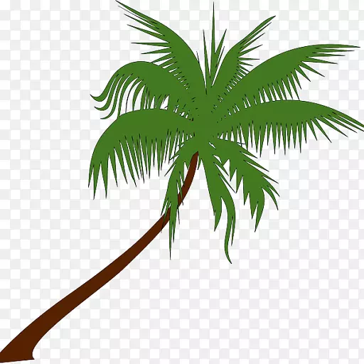 棕榈树剪辑艺术椰子开放部分-椰子