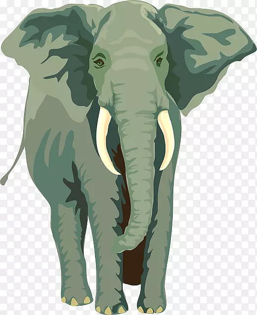 非洲象亚洲象绳系泊象