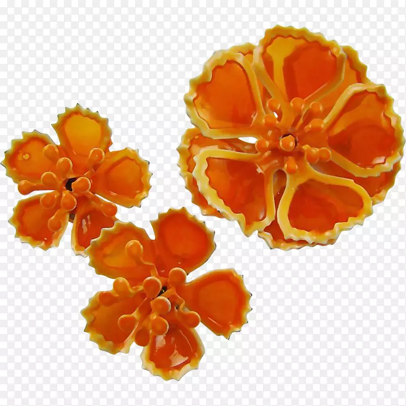 切花花瓣-血橙