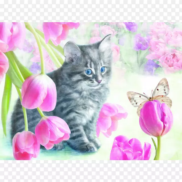 小猫拼图，胡须，猫郁金香材料