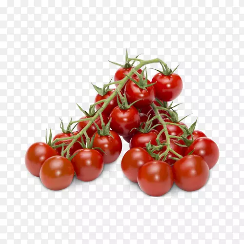 李子番茄灌木丛番茄素食料理樱桃料理
