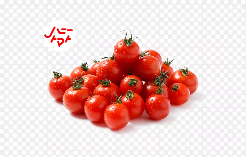 李子番茄灌木丛番茄素食料理-农场就餐