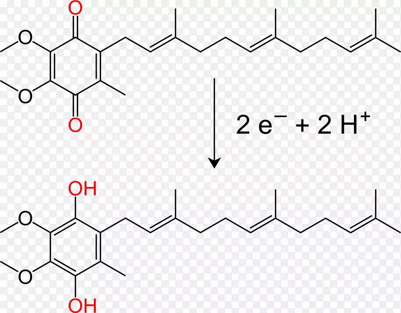 泛醌辅酶Q10 Arnas Katea化学分子-柠檬酸循环