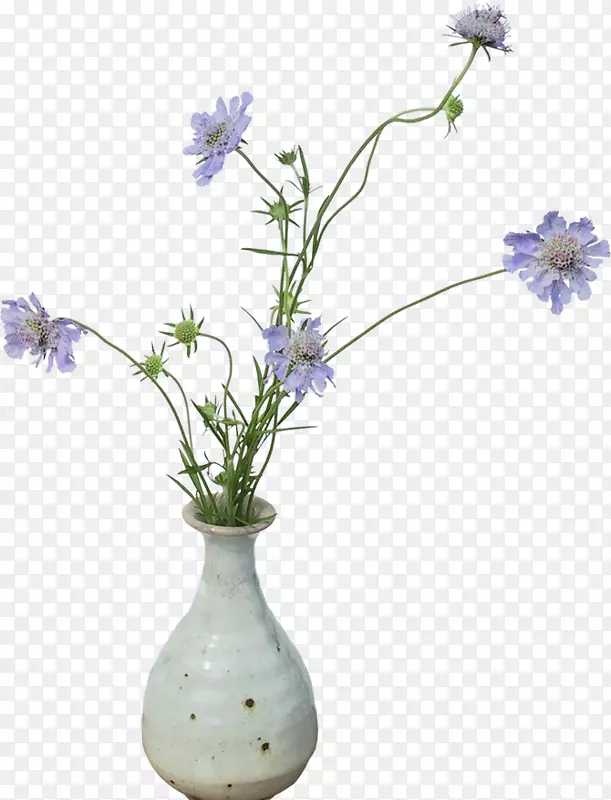 花瓶剪贴画png图片图像花卉花瓶