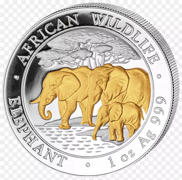 非洲象币印度象金象硬币