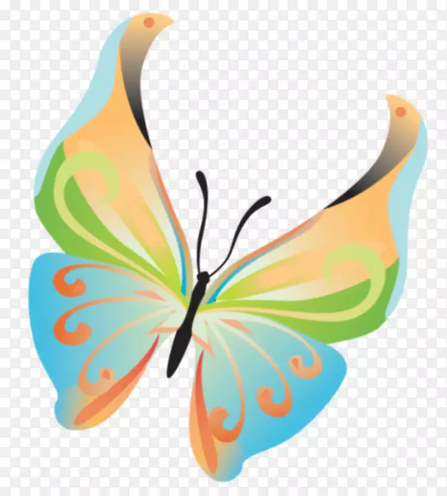 蝴蝶昆虫剪贴画数字图像小乌龟-蝴蝶