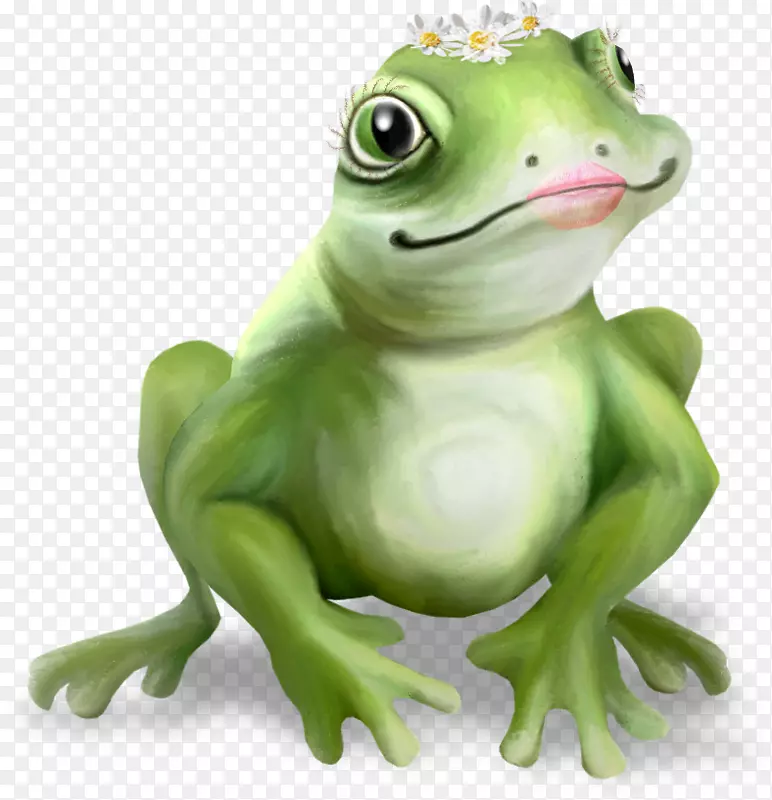 真正的青蛙-普通青蛙-树蛙-青蛙