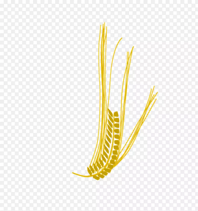 小麦枝条图像透光率和半透明度-小麦