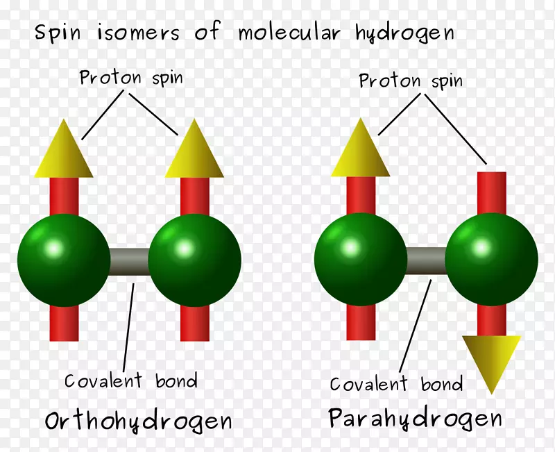 氢分子自旋异构体化学分子