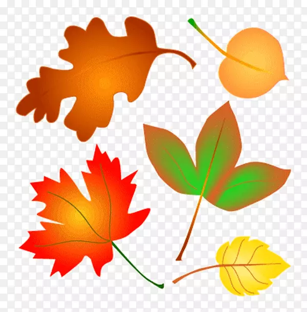 剪贴画秋天树叶颜色开放部分-秋天